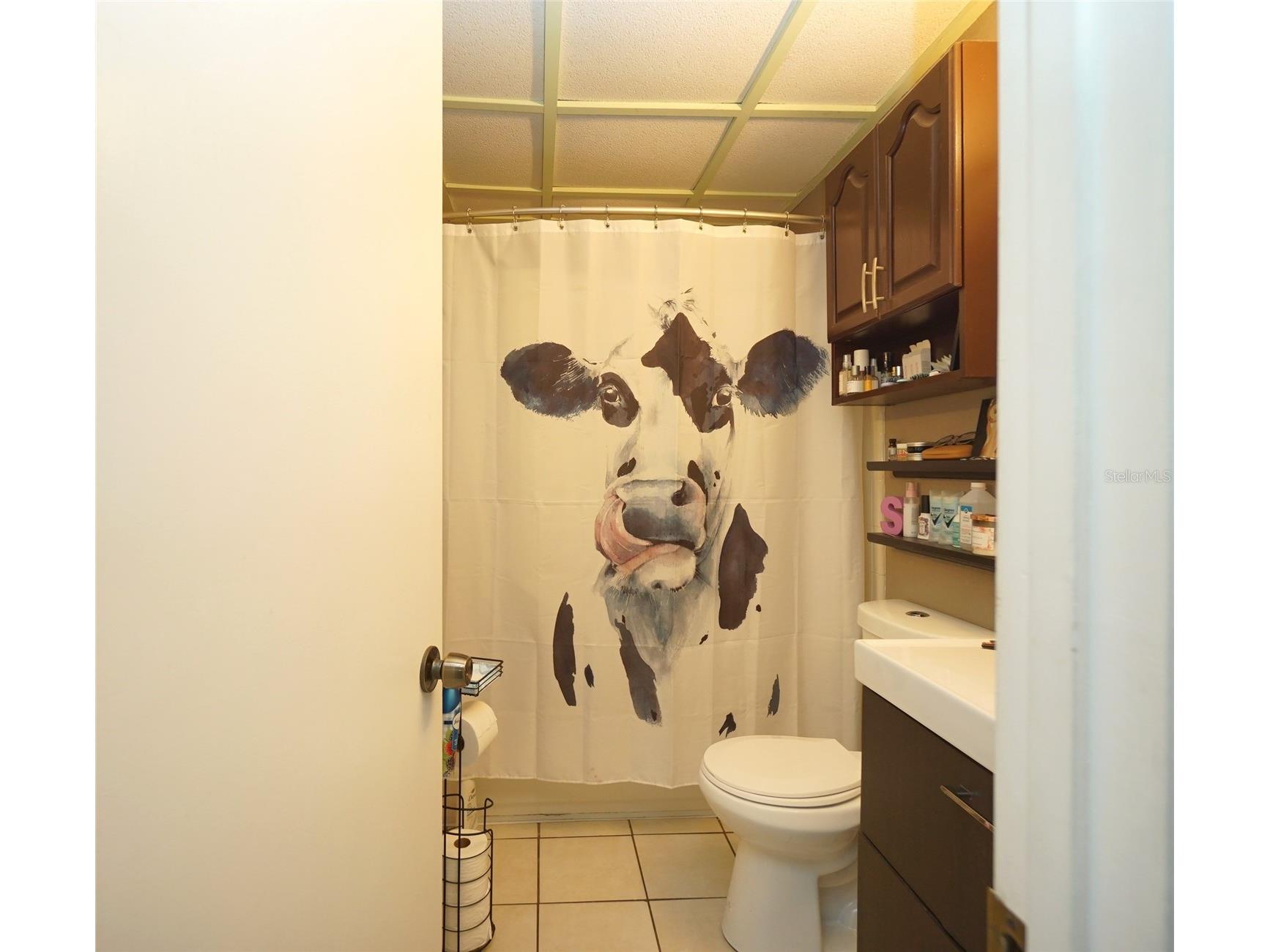 3716 N 52nd Street Tampa FL 33619 TB8470069 image11