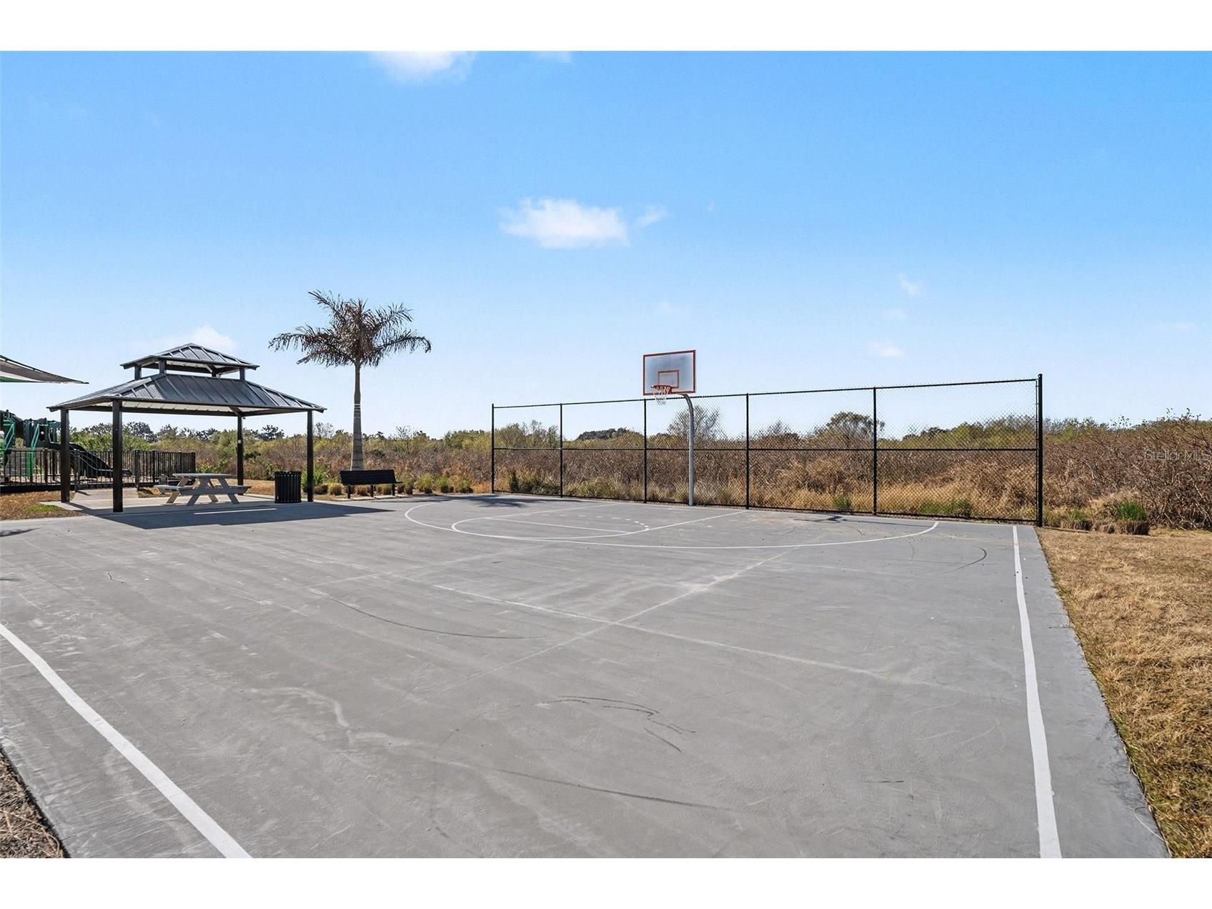 3716 Sunflower Field Place Plant City FL 33565 TB8472902 image33