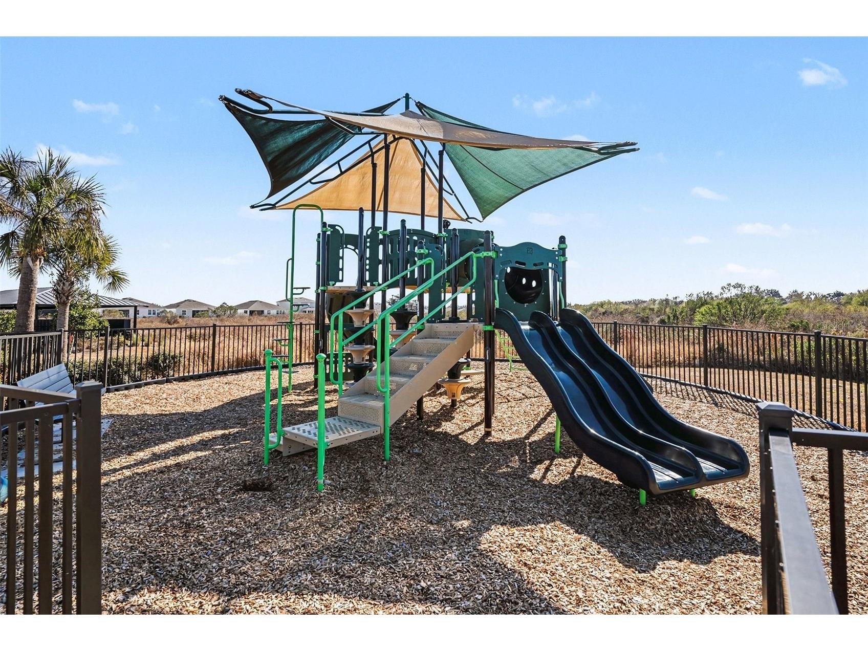 3716 Sunflower Field Place Plant City FL 33565 TB8472902 image35