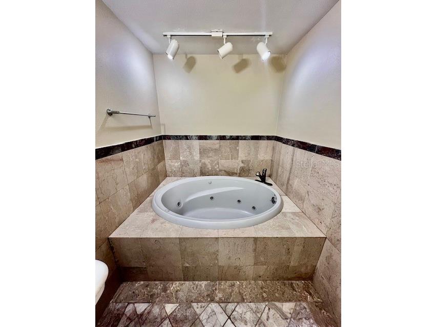 3717 Cedarwood Drive Holiday FL 34691 W7880413 image43