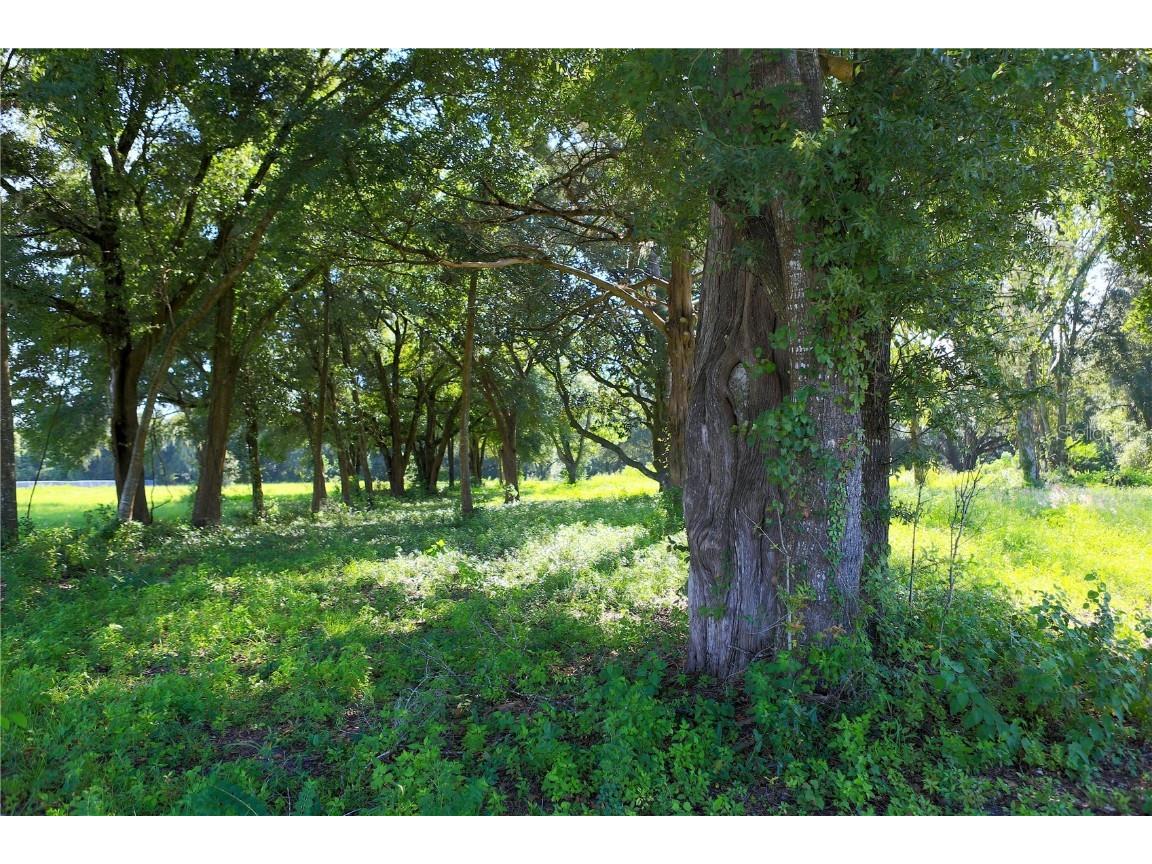 3717 NW 44th Avenue Ocala FL 34482 OM686979 image2
