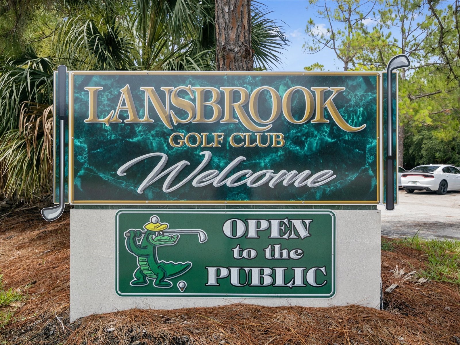 3718 Jacmel Way Palm Harbor FL 34685 TB8463453 image24