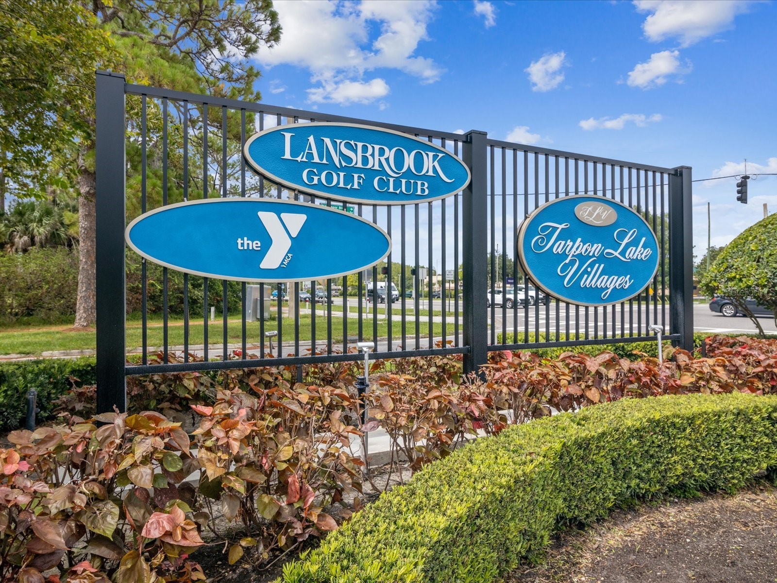 3718 Jacmel Way Palm Harbor FL 34685 TB8463453 image26