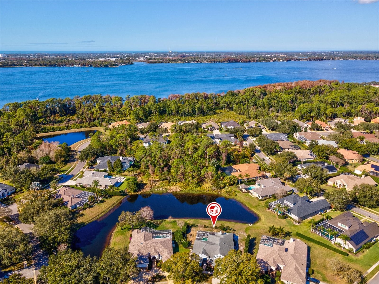 3718 Jacmel Way Palm Harbor FL 34685 TB8463453 image3