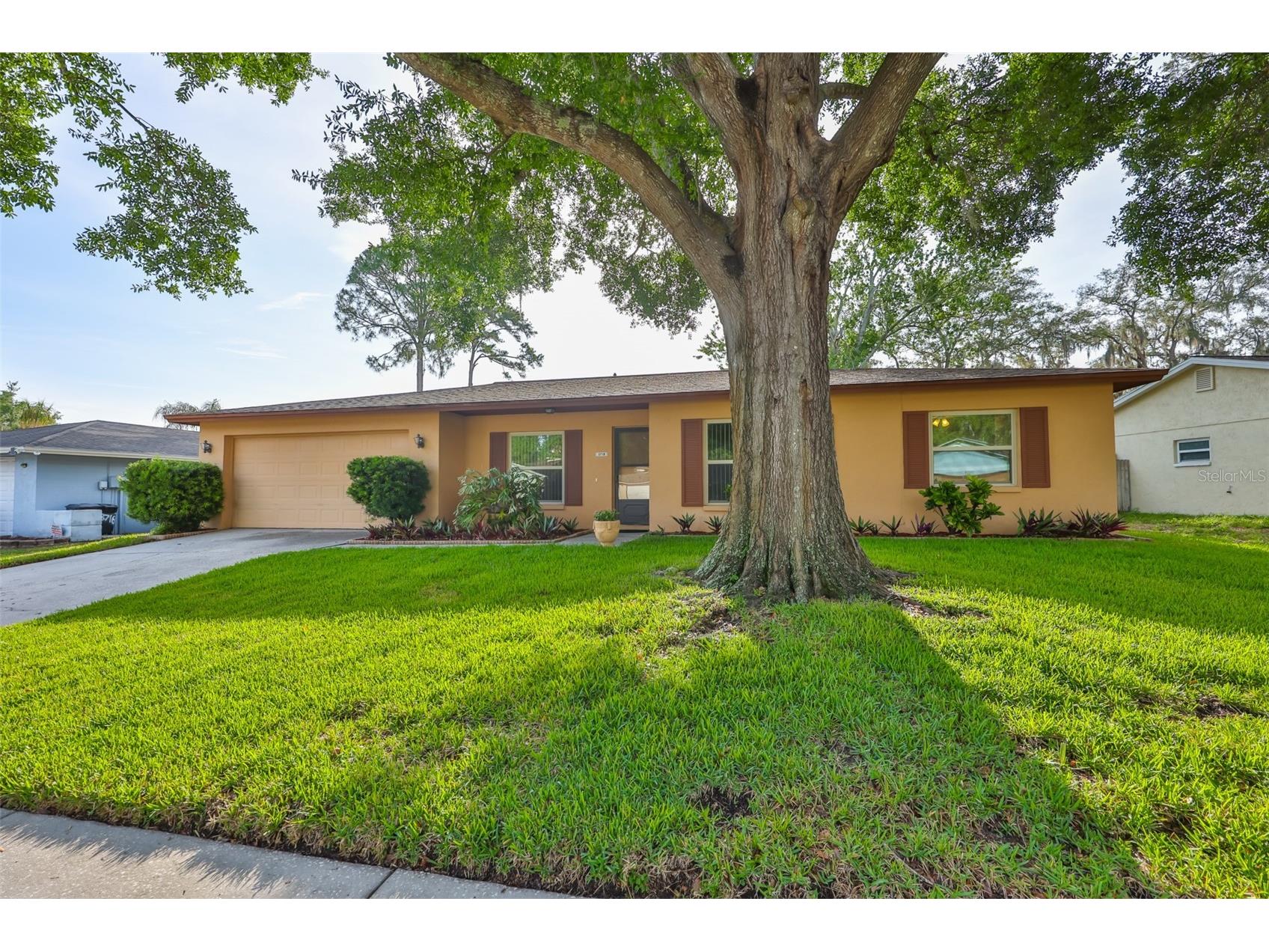 3718 Sand Pebble Drive Valrico FL 33596 TB8513075 image5
