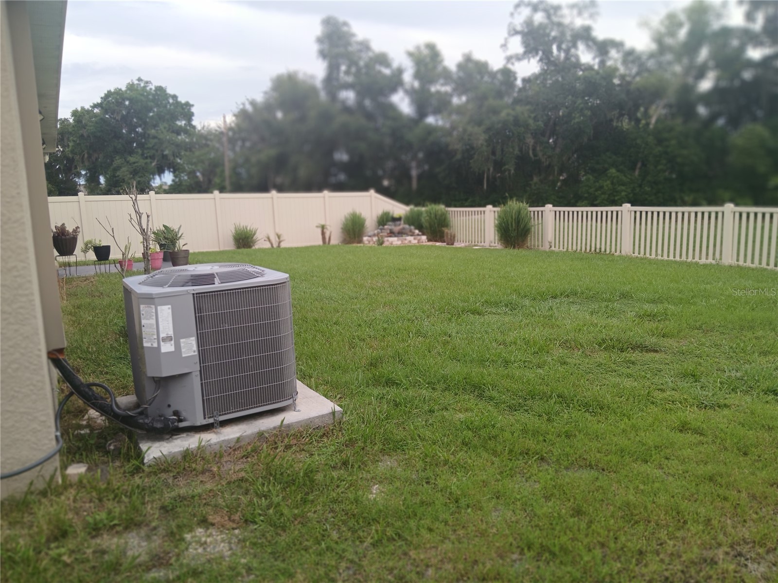 3719 Capri Coast Drive Plant City FL 33565 TB8515540 image39