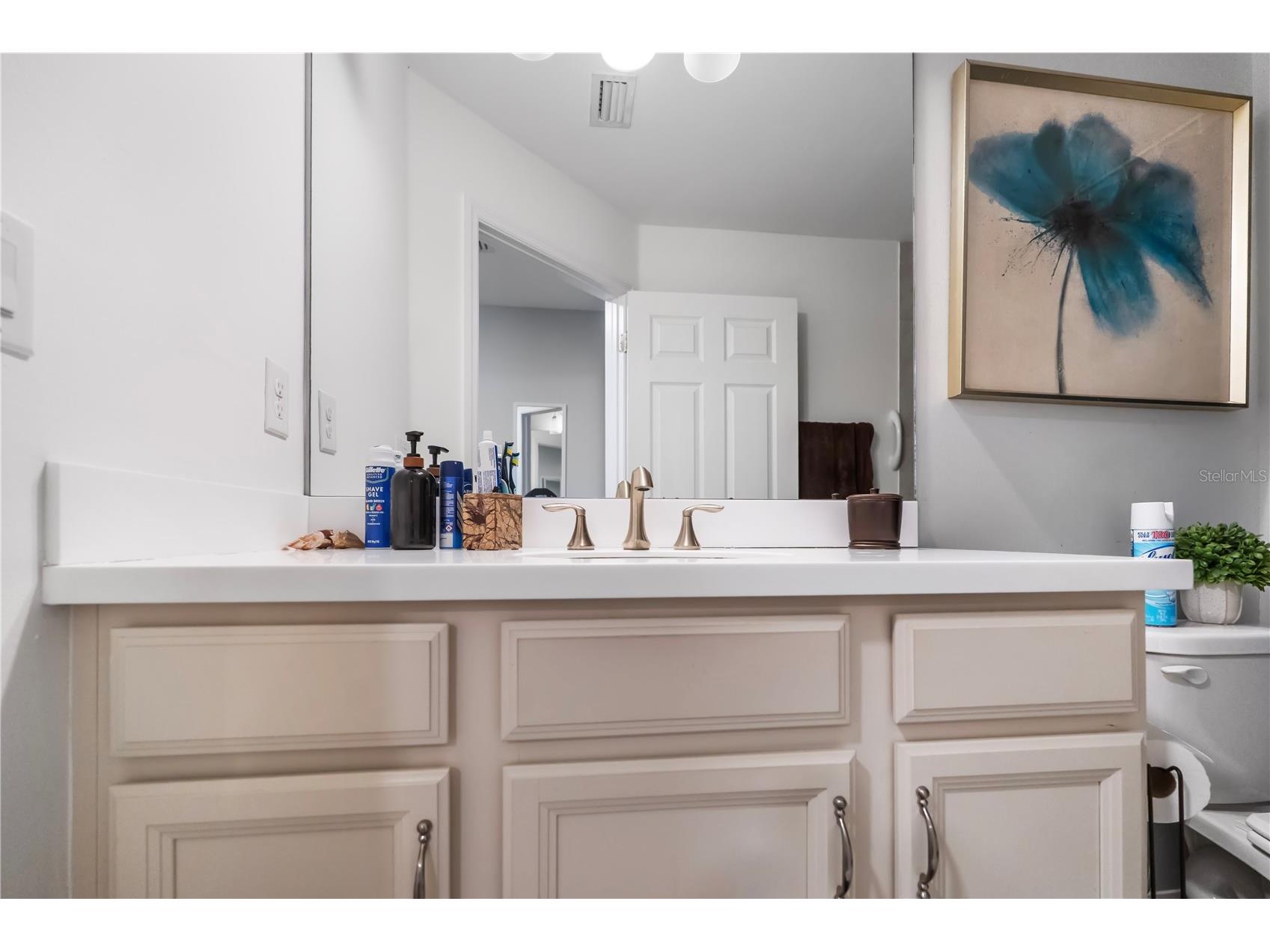 3719 Crofton Court Fort Myers FL 33916 C7525510 image21
