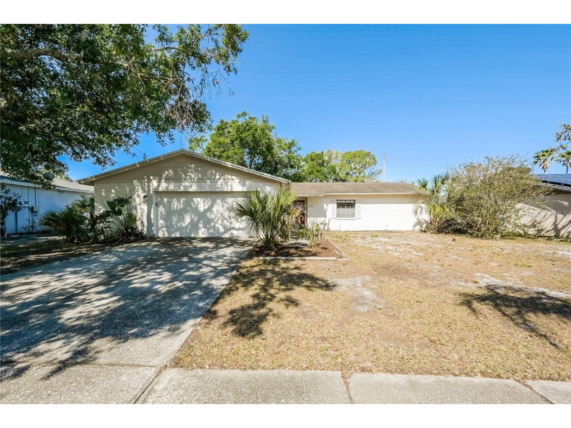 3719 Greenford Street Valrico FL 33596 TB8382446 image1