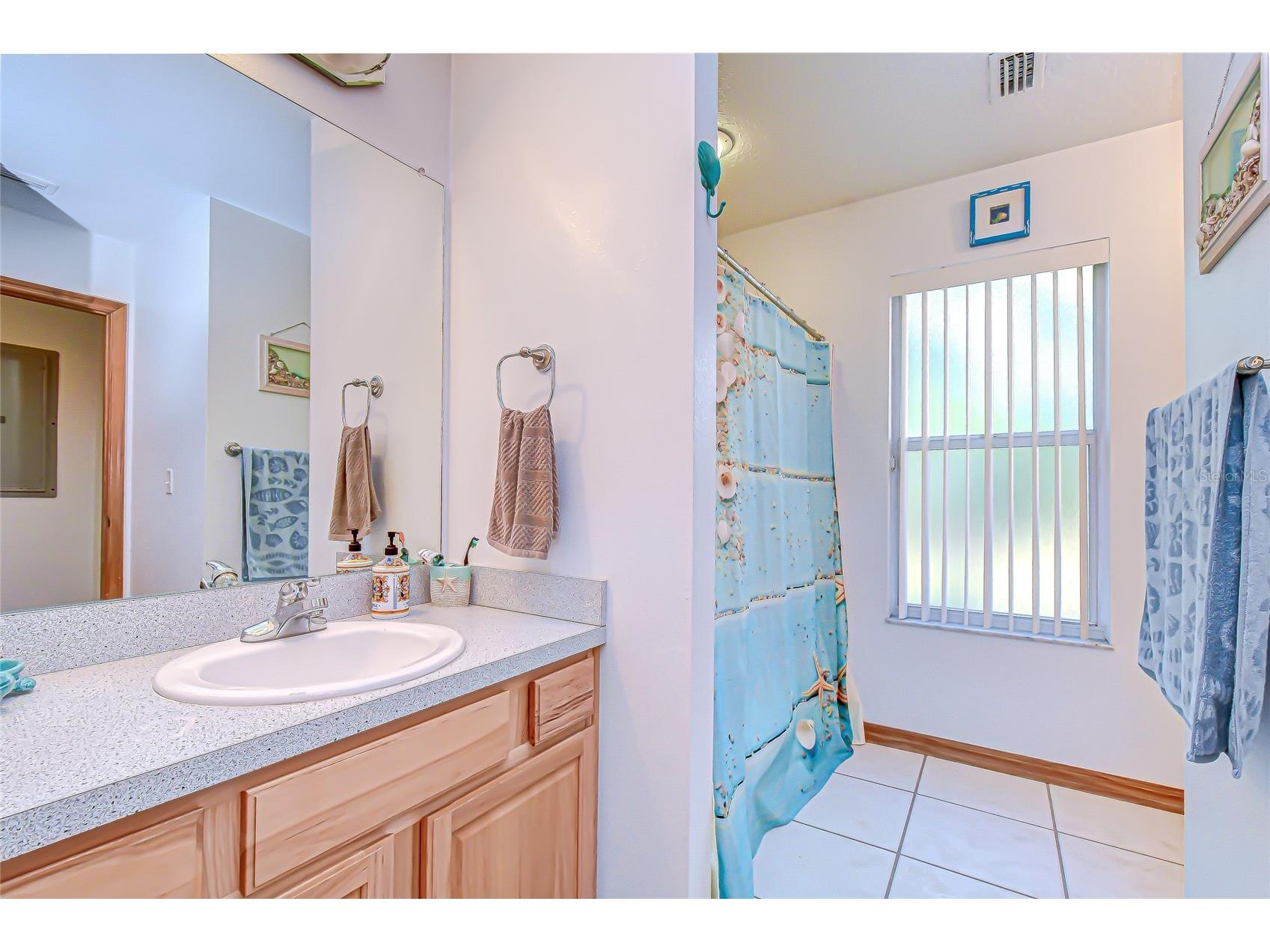 3719 Moores Lake Road Dover FL 33527 TB8462403 image16