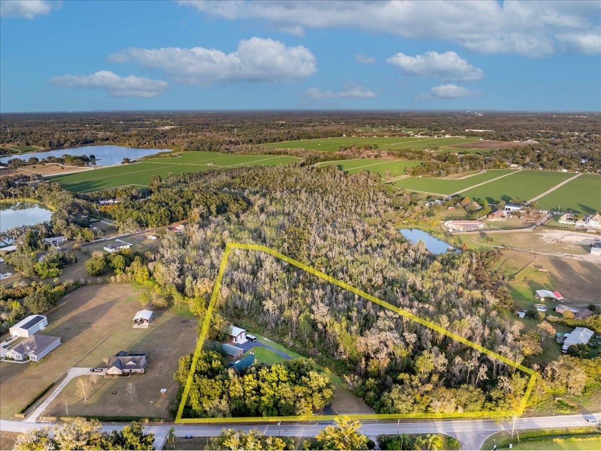 3719 Moores Lake Road Dover FL 33527 TB8462403 image3