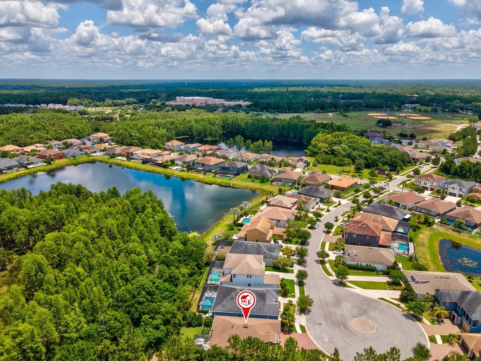 3719 Wicket Field Road Lutz FL 33548 TB8503365 image49