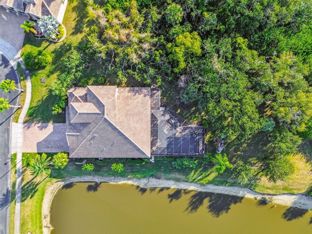 372 Coco Plum Court Oldsmar FL 34677 - HEATHER'S POND TB8454163 image57