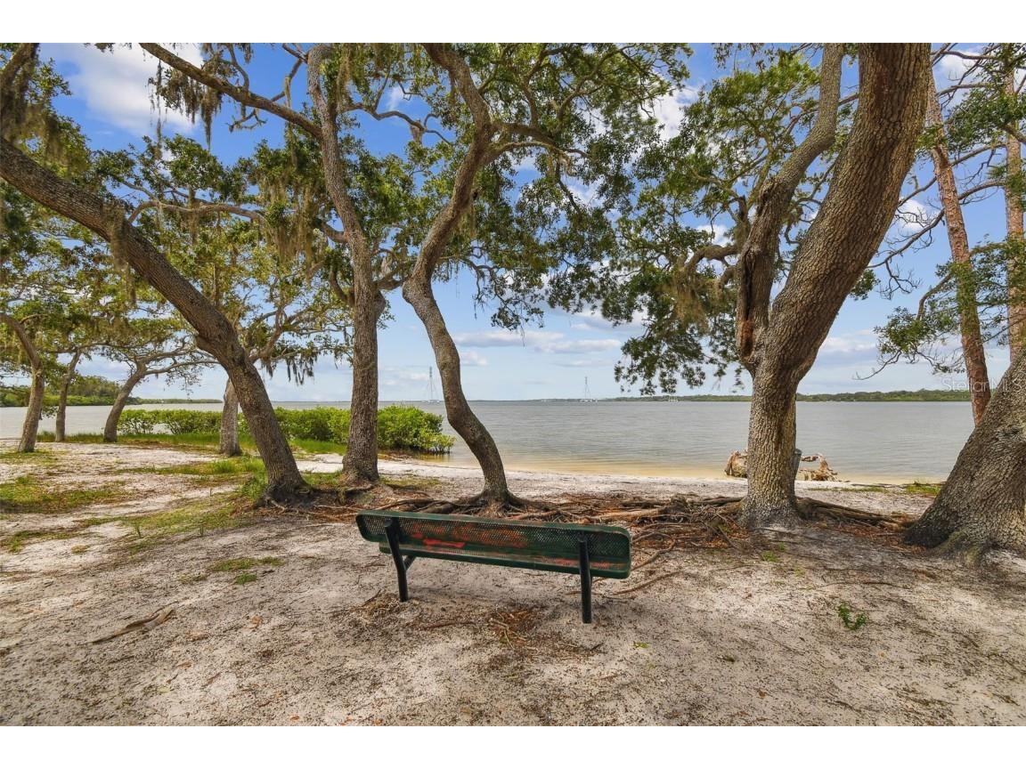 372 Coco Plum Court Oldsmar FL 34677 - HEATHER'S POND TB8454163 image65