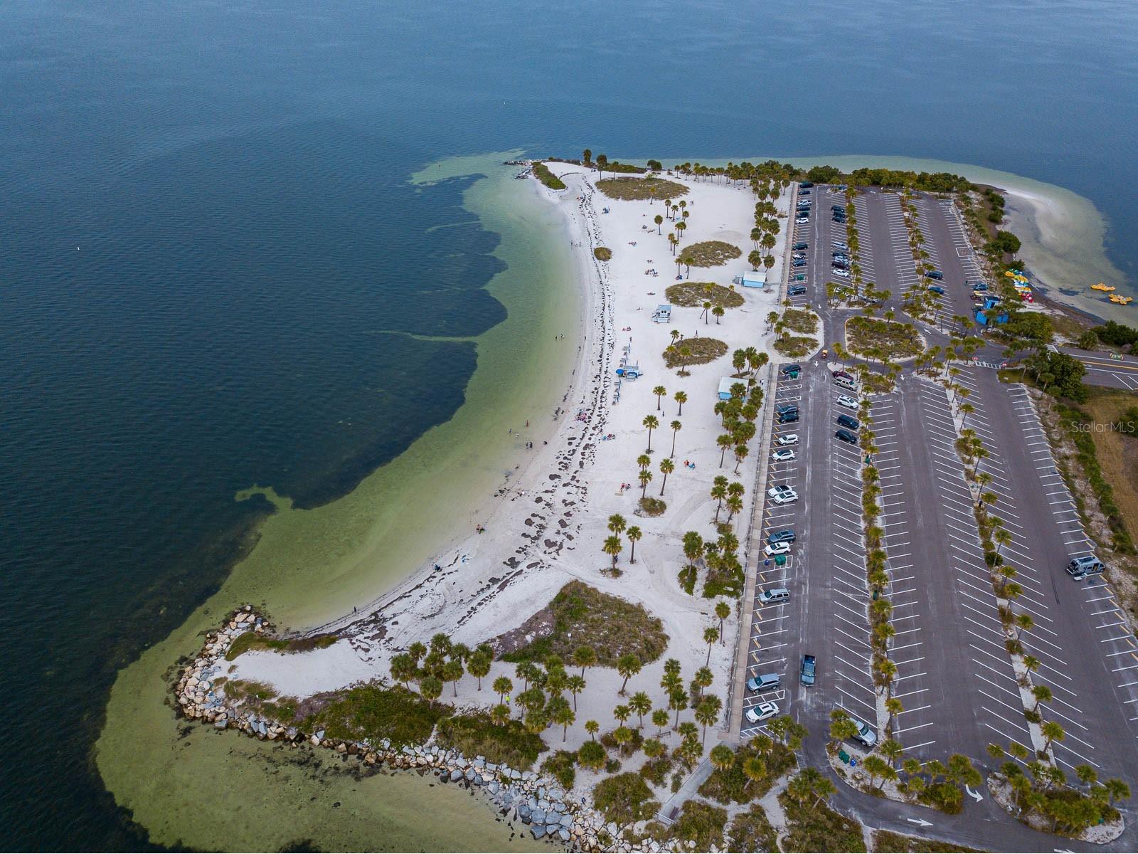 372 Moorings Cove Drive #372 Tarpon Springs FL 34689 TB8505023 image5