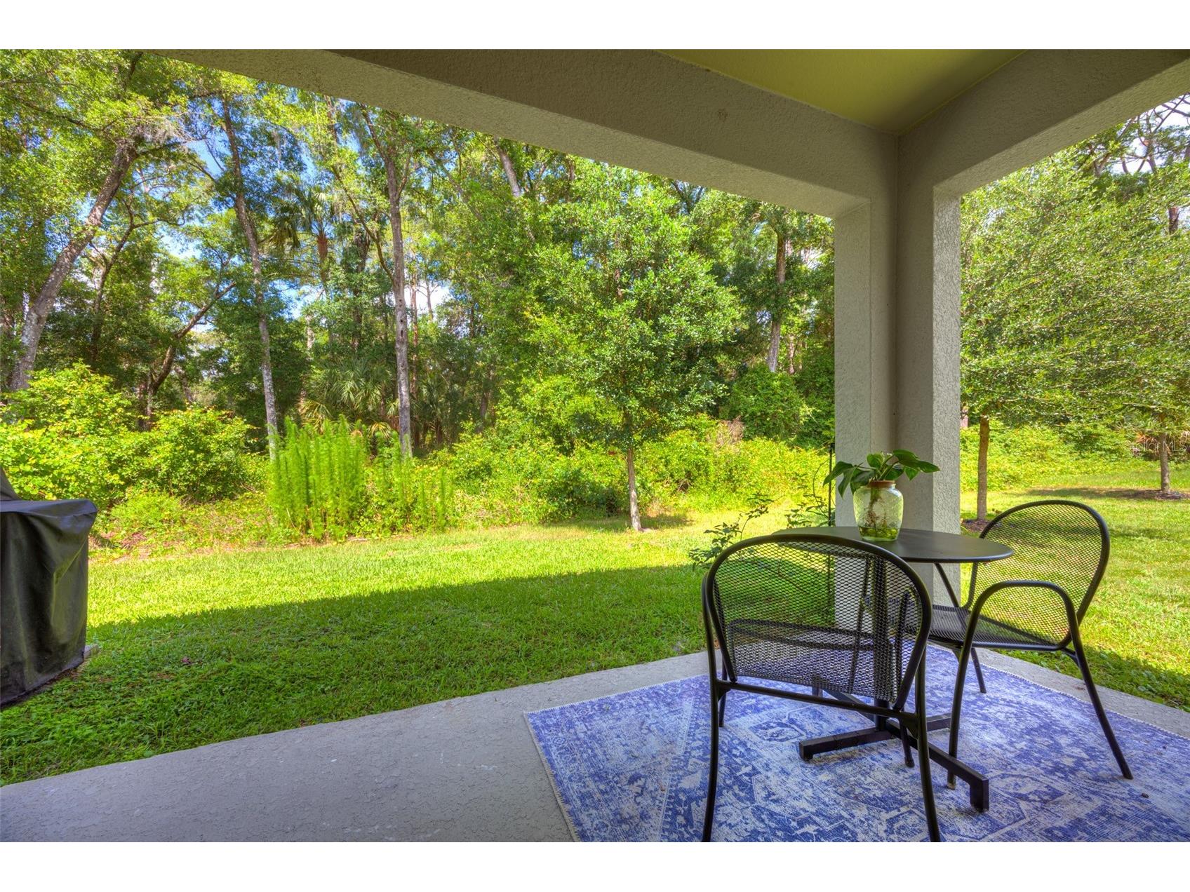 372 Pelham Park Drive Deland FL 32720 V4949185 image29