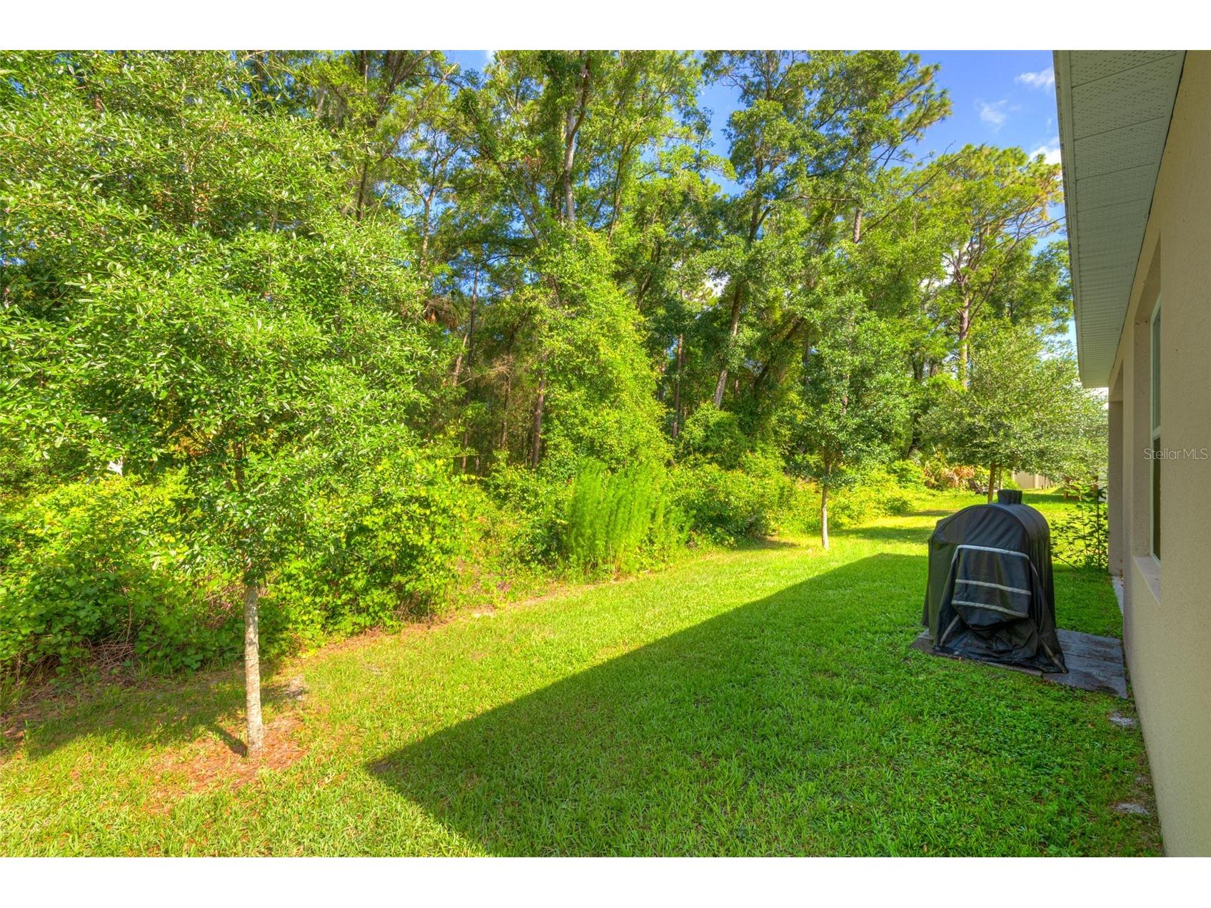 372 Pelham Park Drive Deland FL 32720 V4949185 image33