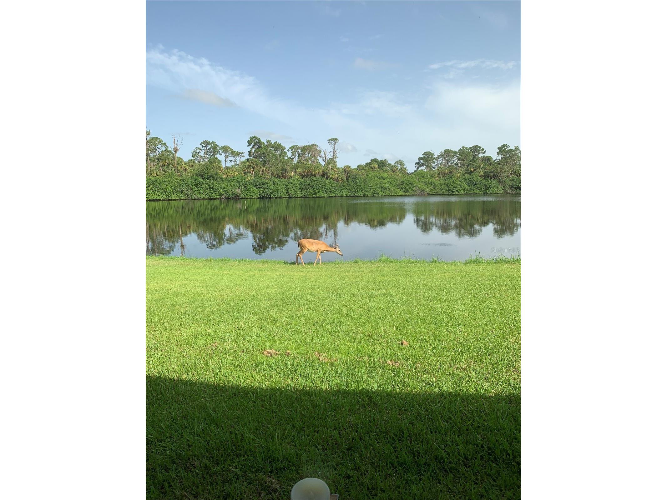 372 Rest Haven Road Geneva FL 32732 - LAKE BEATRICE O6289173 image60