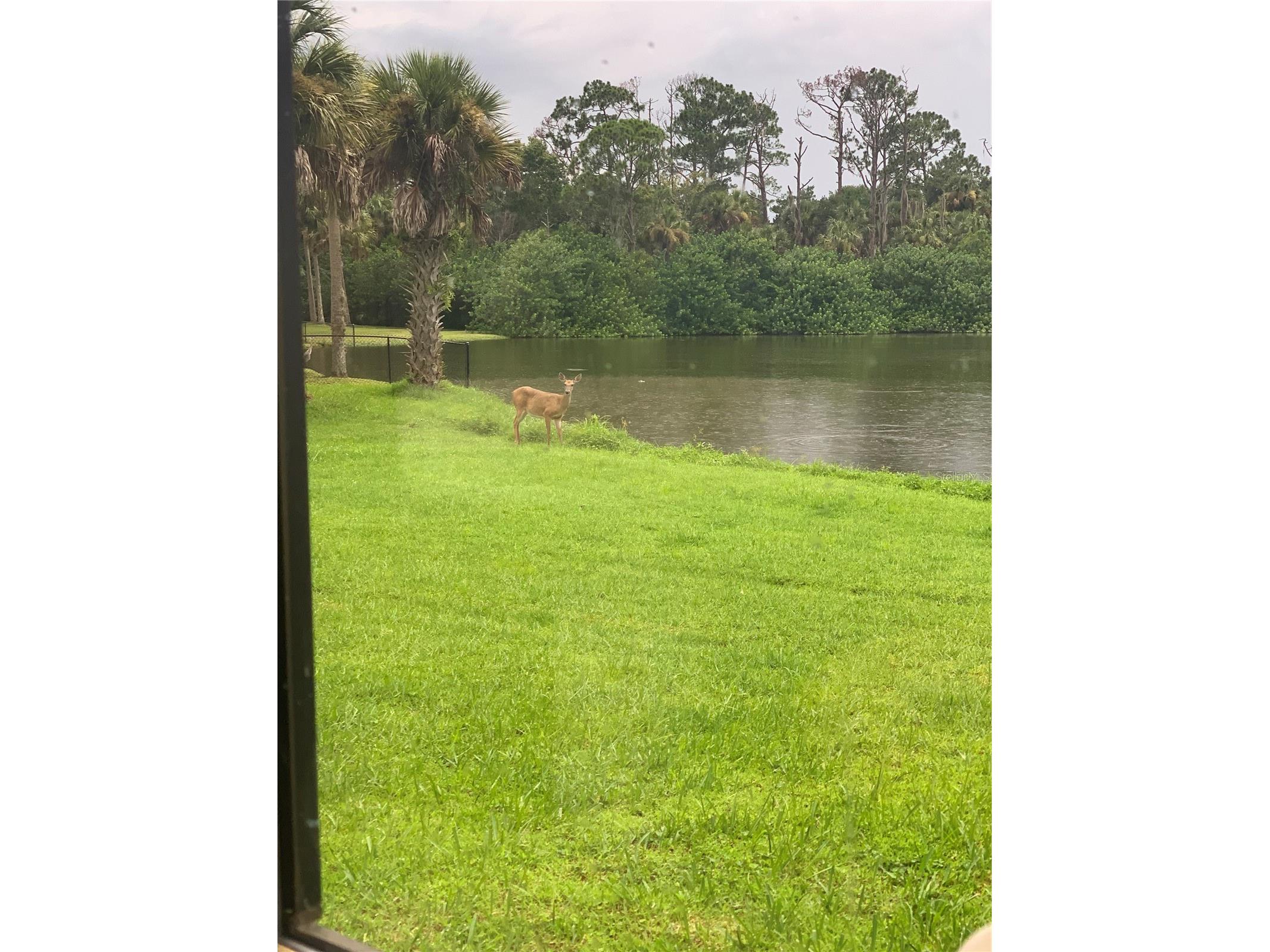 372 Rest Haven Road Geneva FL 32732 - LAKE BEATRICE O6289173 image63