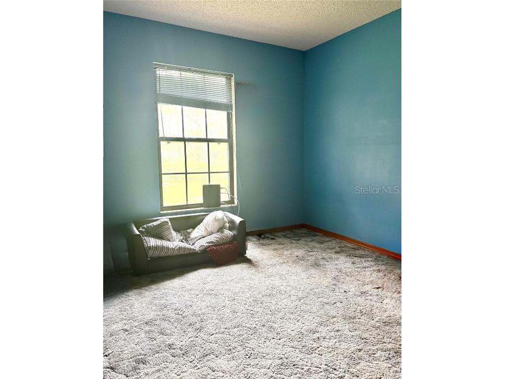 372 Wisteria Court Deltona FL 32738 S5137305 image10