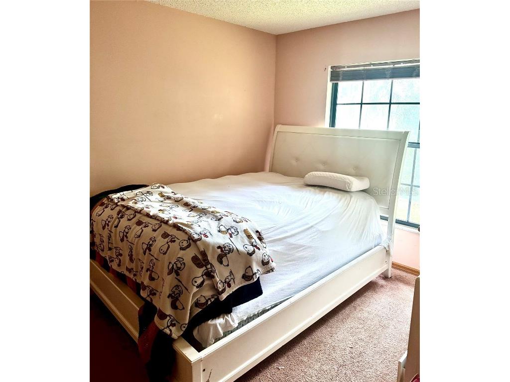 372 Wisteria Court Deltona FL 32738 S5137305 image11