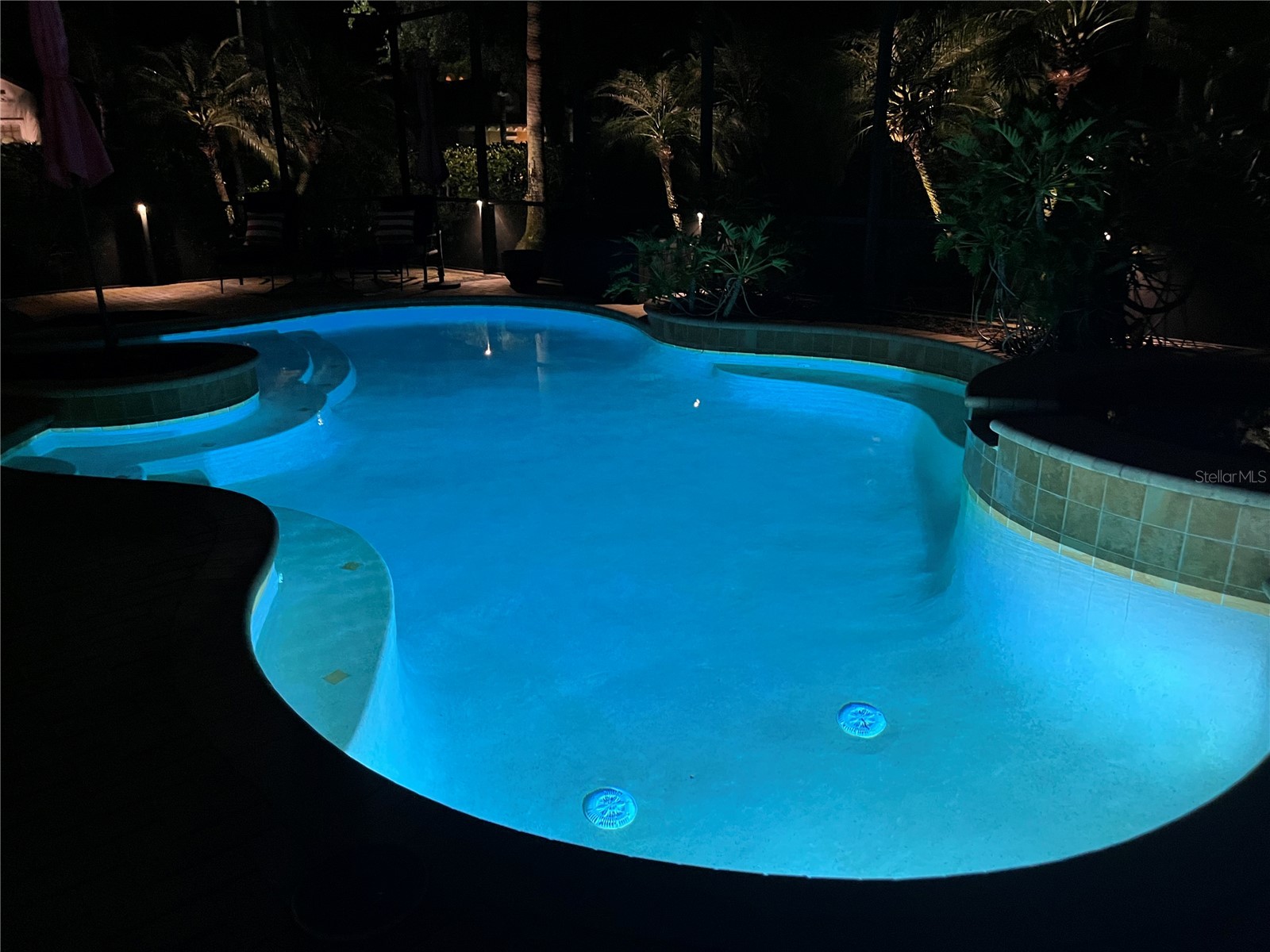 3720 Marbury Court Land O Lakes FL 34638 TB8506744 image59