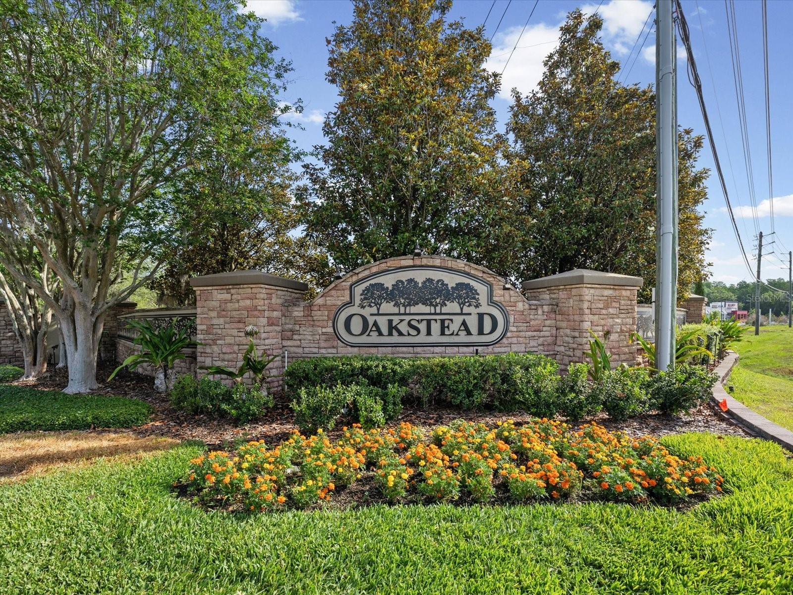 3720 Marbury Court Land O Lakes FL 34638 TB8506744 image73