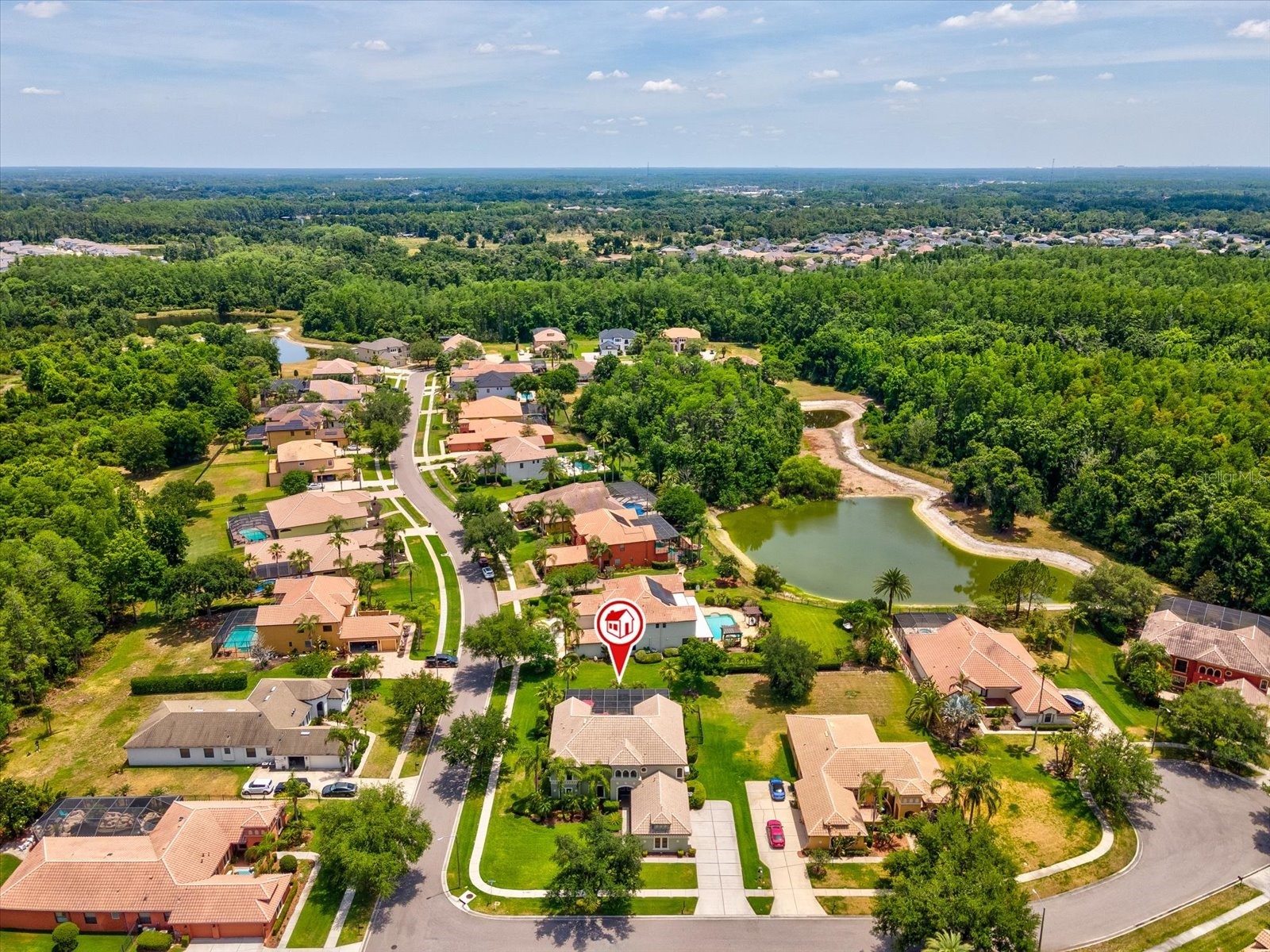 3720 Marbury Court Land O Lakes FL 34638 TB8506744 image78