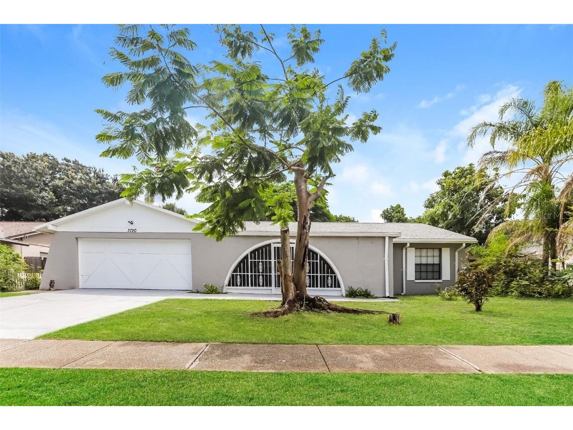 3720 Orangepointe Road Valrico FL 33596 O6235635 image1