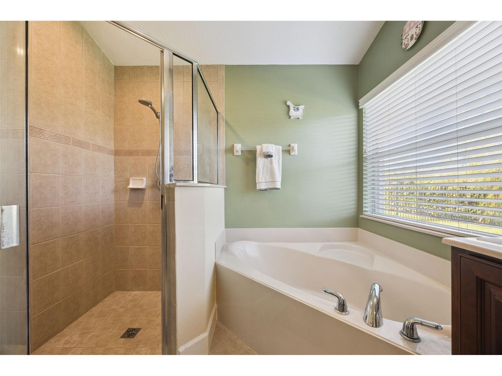 3720 Valley Oaks Court Oviedo FL 32766 O6355707 image26