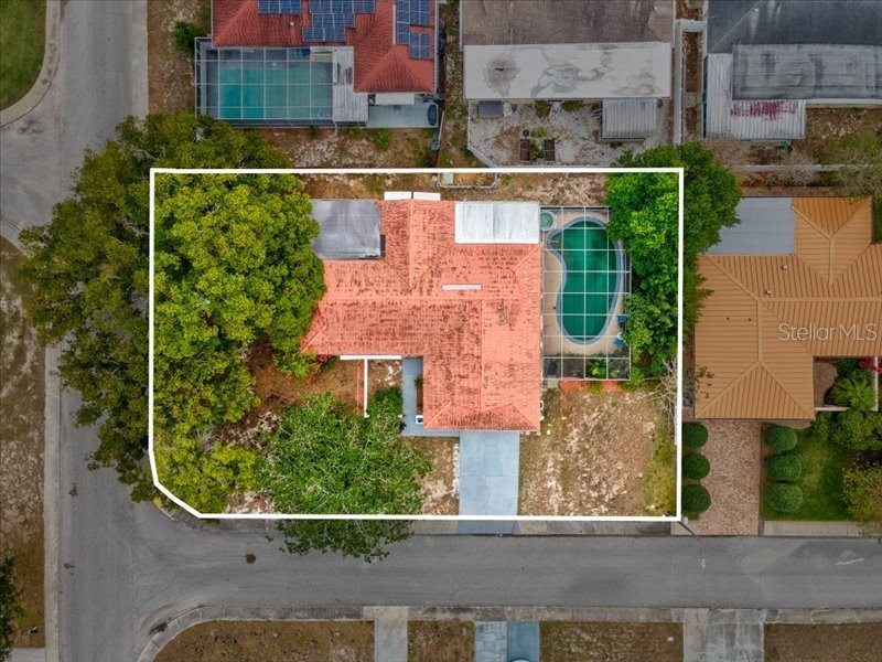 3720 Warbler Drive New Port Richey FL 34652 W7881308 image4