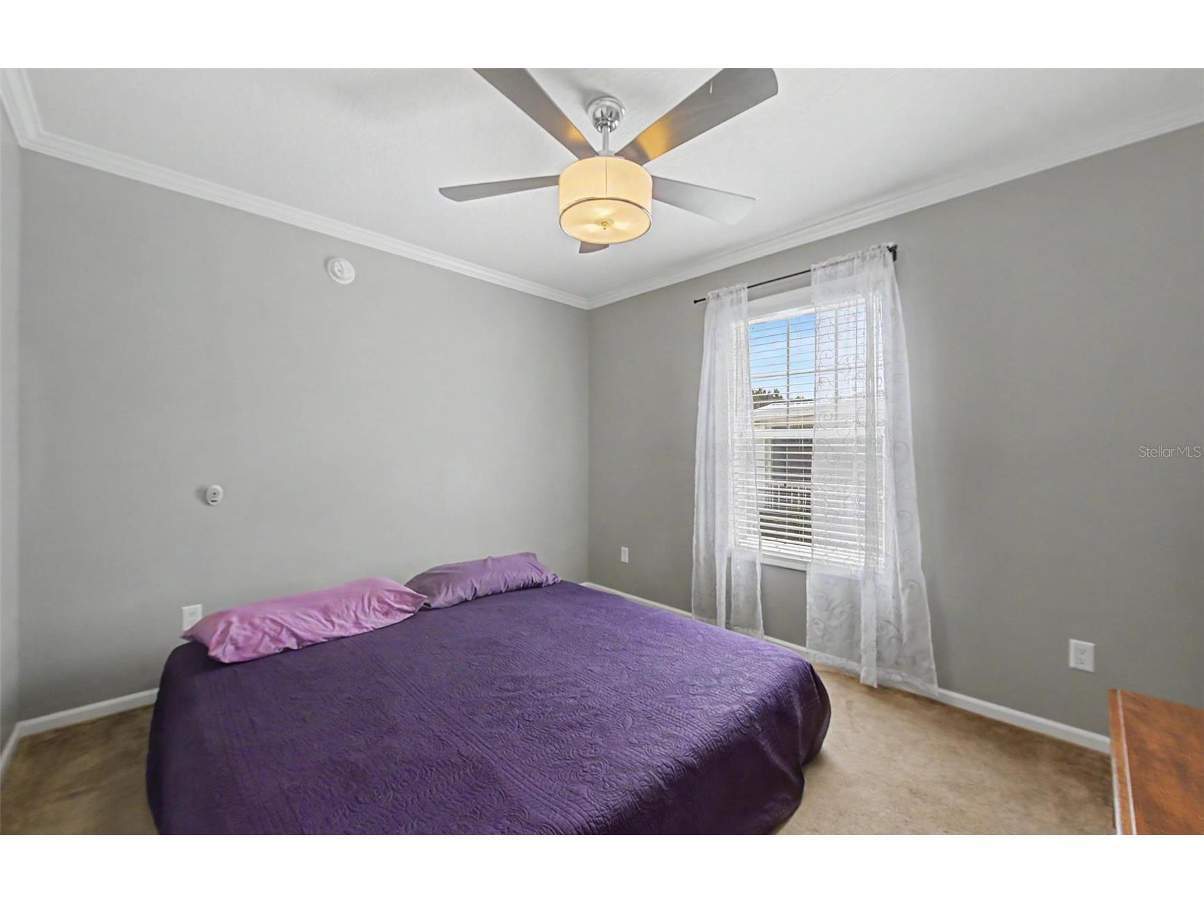 37200 Neukom Avenue Zephyrhills FL 33541 TB8520741 image20