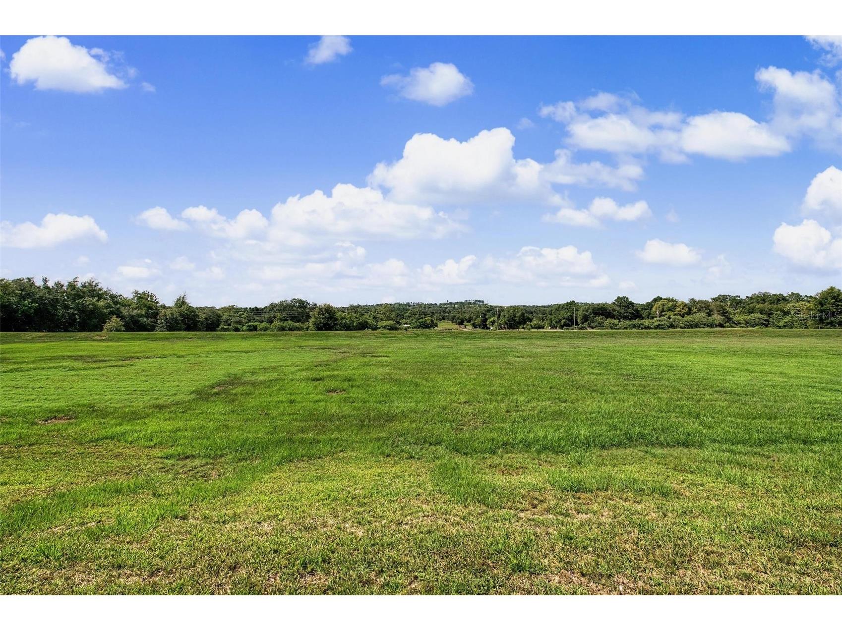 37200 Neukom Avenue Zephyrhills FL 33541 TB8520741 image28