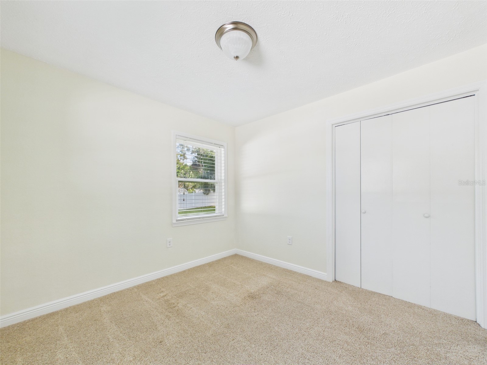 37207 Mcminn Avenue Dade City FL 33525 TB8531881 image13