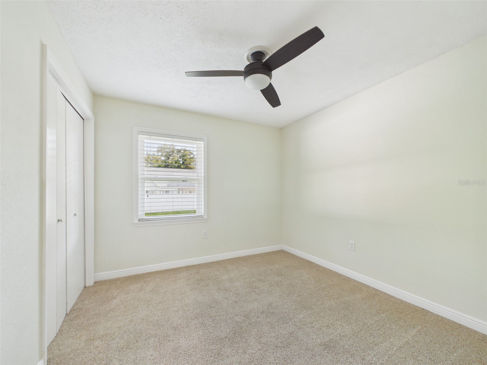 37207 Mcminn Avenue Dade City FL 33525 TB8531881 image16