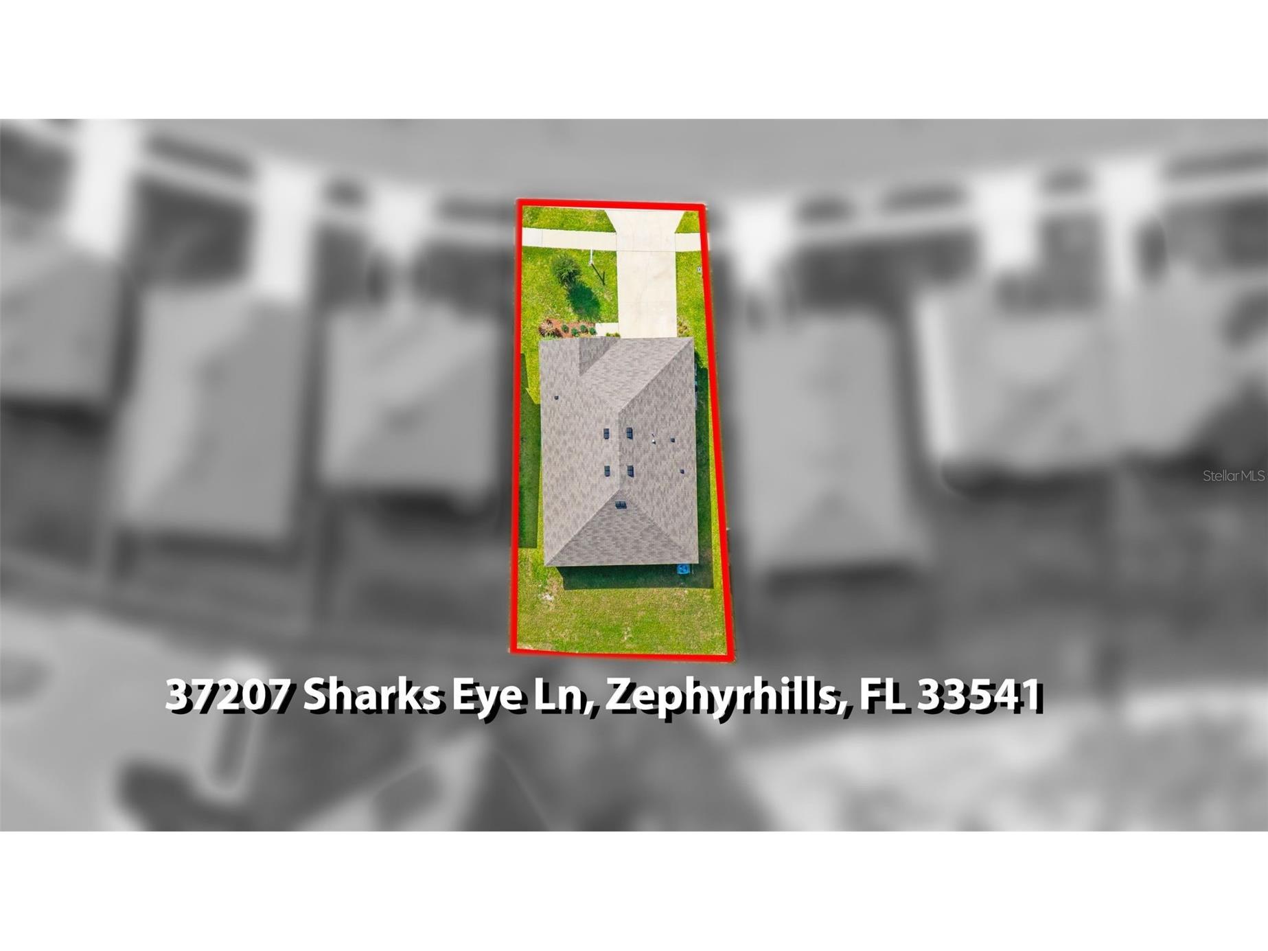 37207 Sharks Eye Lane Zephyrhills FL 33541 TB8509610 image42