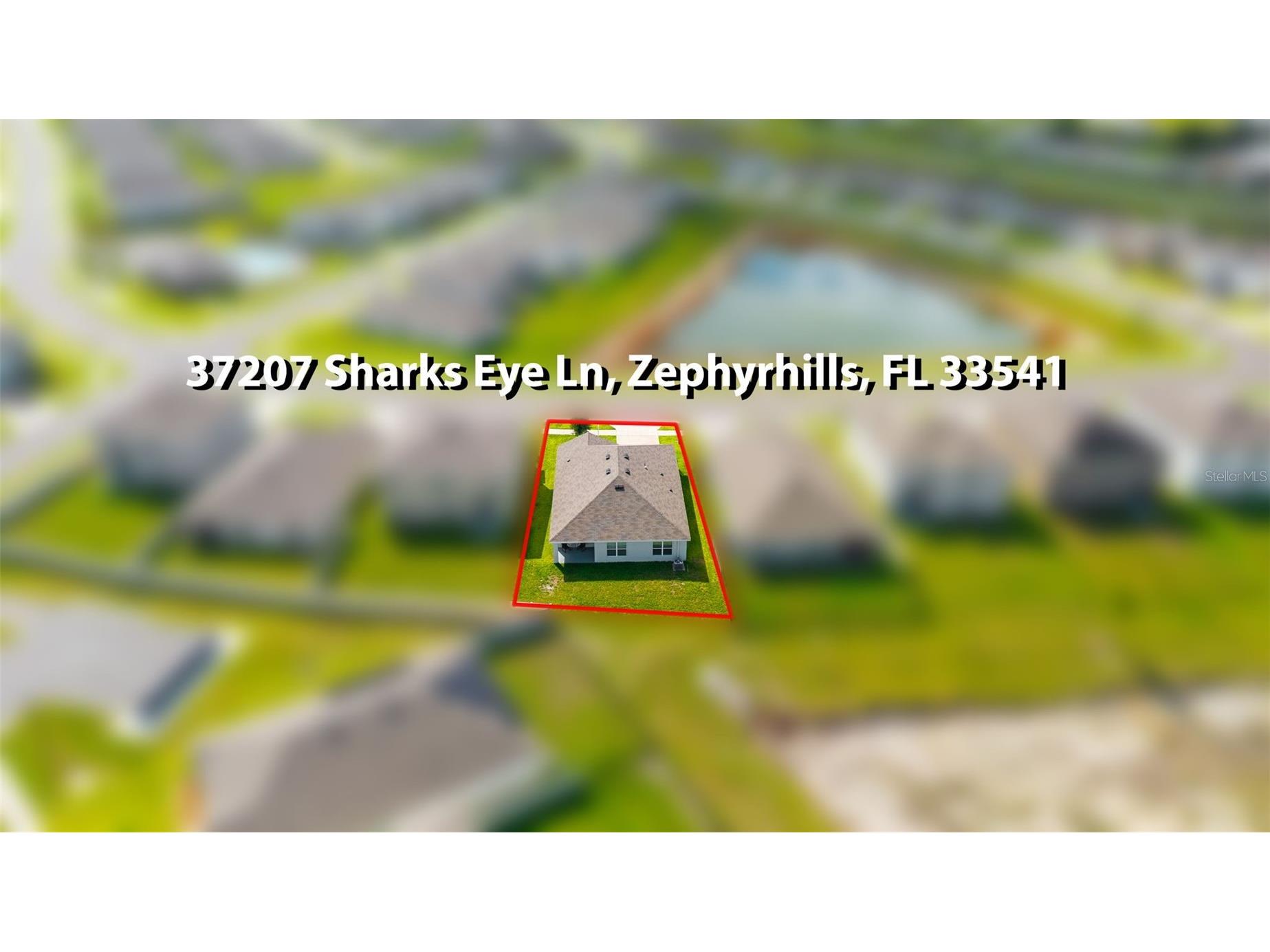 37207 Sharks Eye Lane Zephyrhills FL 33541 TB8509610 image44