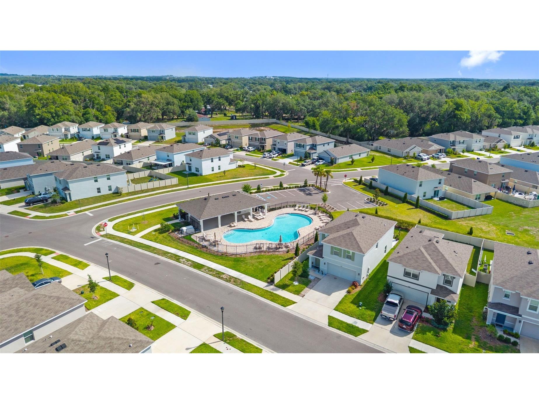 37207 Sharks Eye Lane Zephyrhills FL 33541 TB8509610 image49