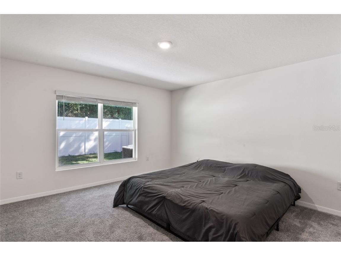 37209 Kings Crown Drive Zephyrhills FL 33541 TB8435630 image16