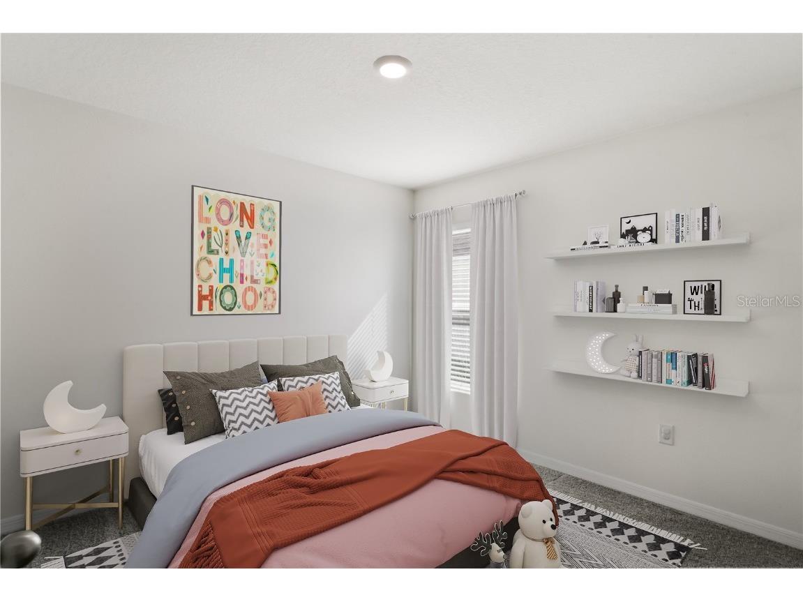 37209 Kings Crown Drive Zephyrhills FL 33541 TB8435630 image22