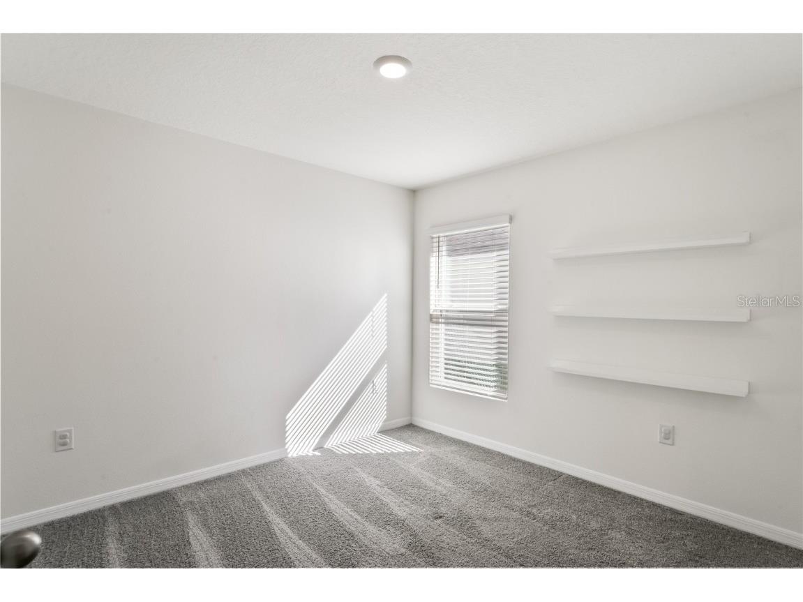 37209 Kings Crown Drive Zephyrhills FL 33541 TB8435630 image23