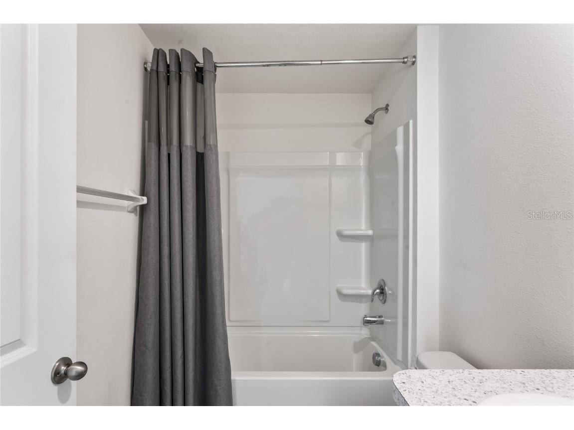 37209 Kings Crown Drive Zephyrhills FL 33541 TB8435630 image26