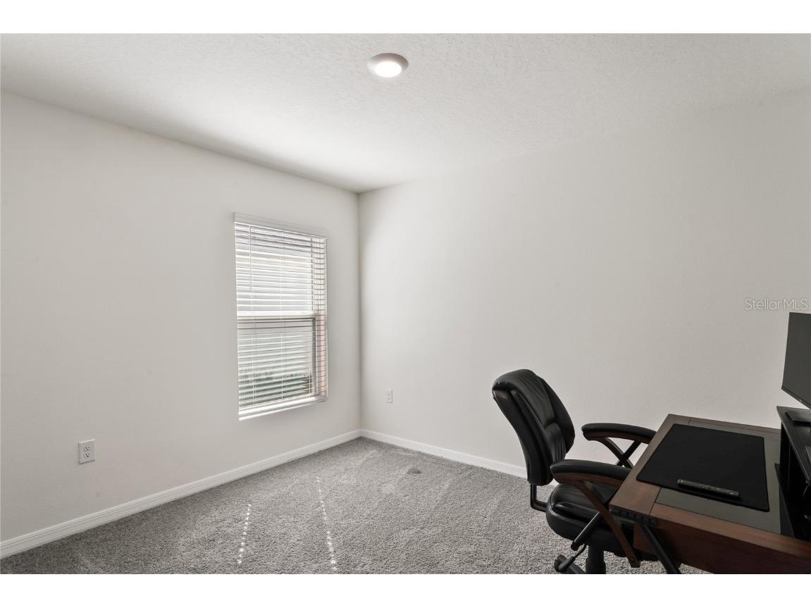 37209 Kings Crown Drive Zephyrhills FL 33541 TB8435630 image27