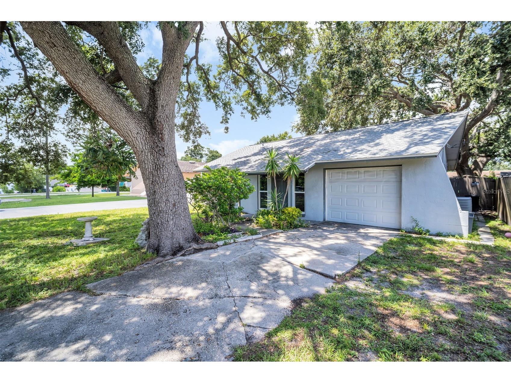 3721 140th Avenue Largo FL 33771 TB8415679 image21