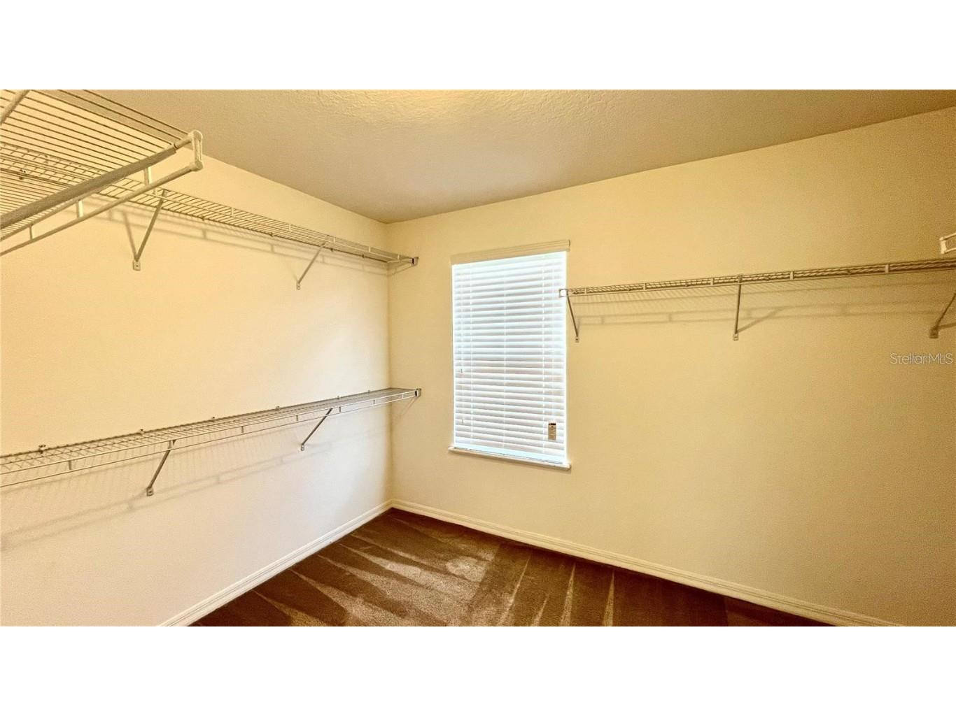 3721 Maidencain Street Clermont FL 34714 S5137998 image60