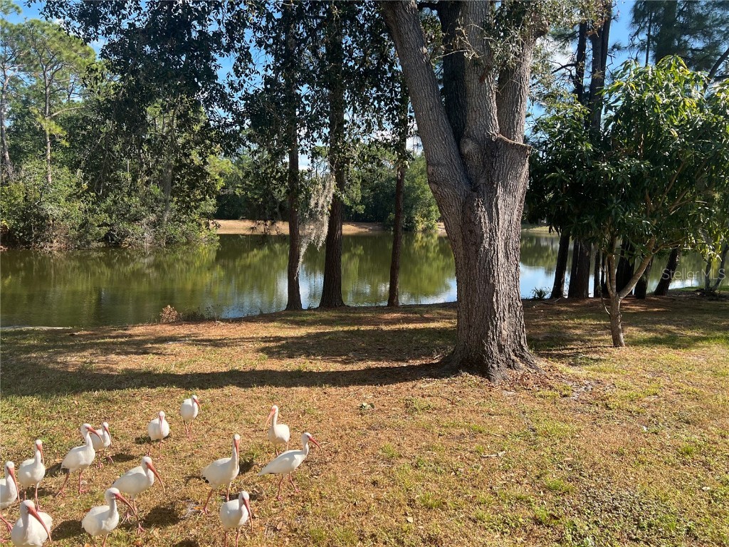 3721 Pickwick Drive Orlando FL 32817 O6364052 image23