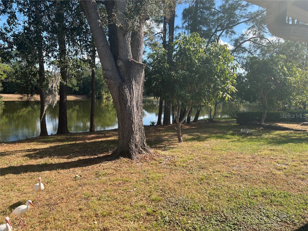 3721 Pickwick Drive Orlando FL 32817 O6364052 image24