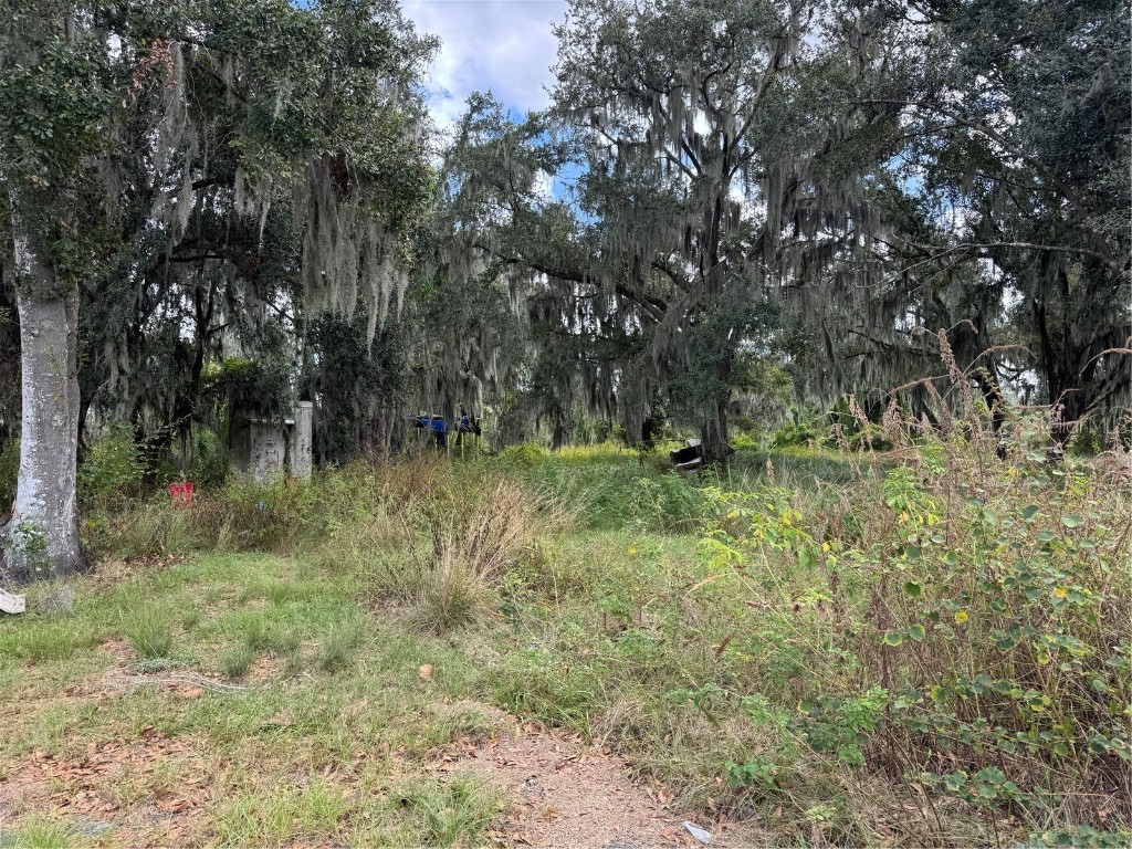 3721 Porter Road Lithia FL 33547 TB8443713 image10