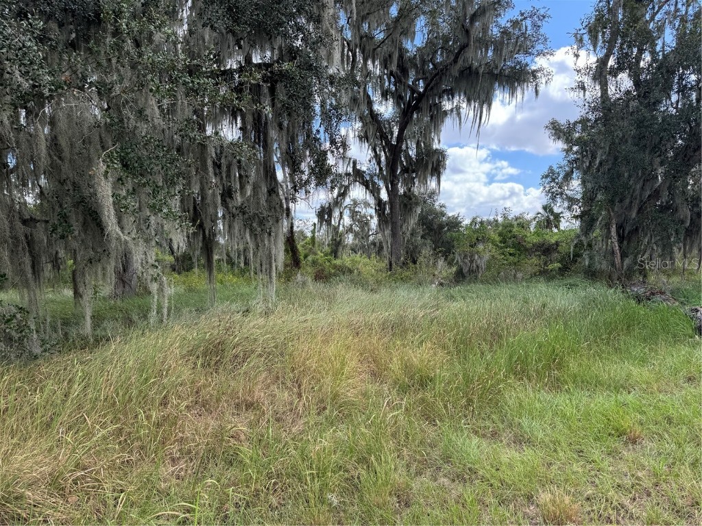 3721 Porter Road Lithia FL 33547 TB8443713 image4