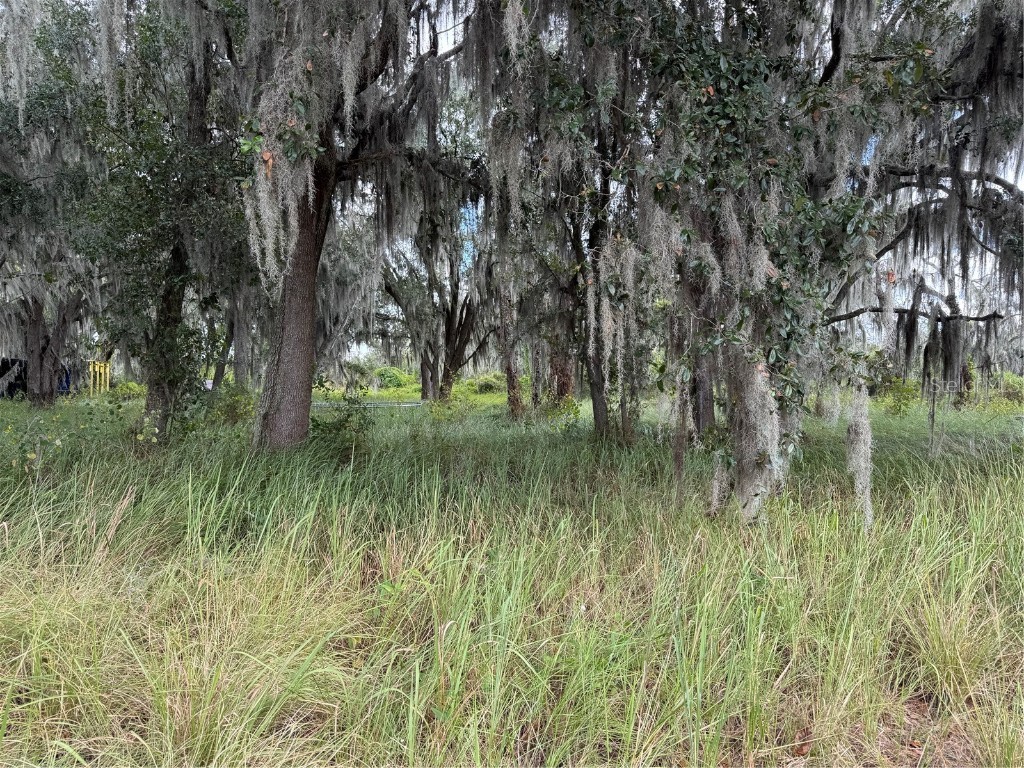 3721 Porter Road Lithia FL 33547 TB8443713 image5