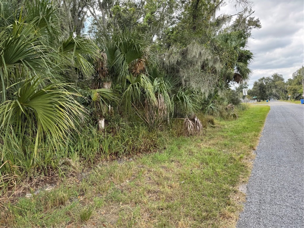 3721 Porter Road Lithia FL 33547 TB8443713 image6